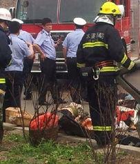 本溪记者爆料事件最新情况,真相逐步浮出水面