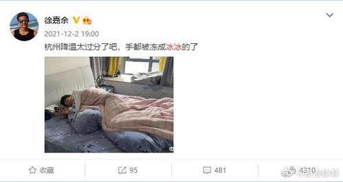 新浪娱乐最新爆料热搜,最新热搜事件深度解析